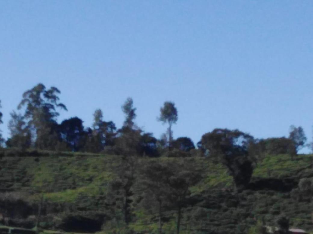 Frosty Heaven Guest House Nuwara Eliya Bagian luar foto