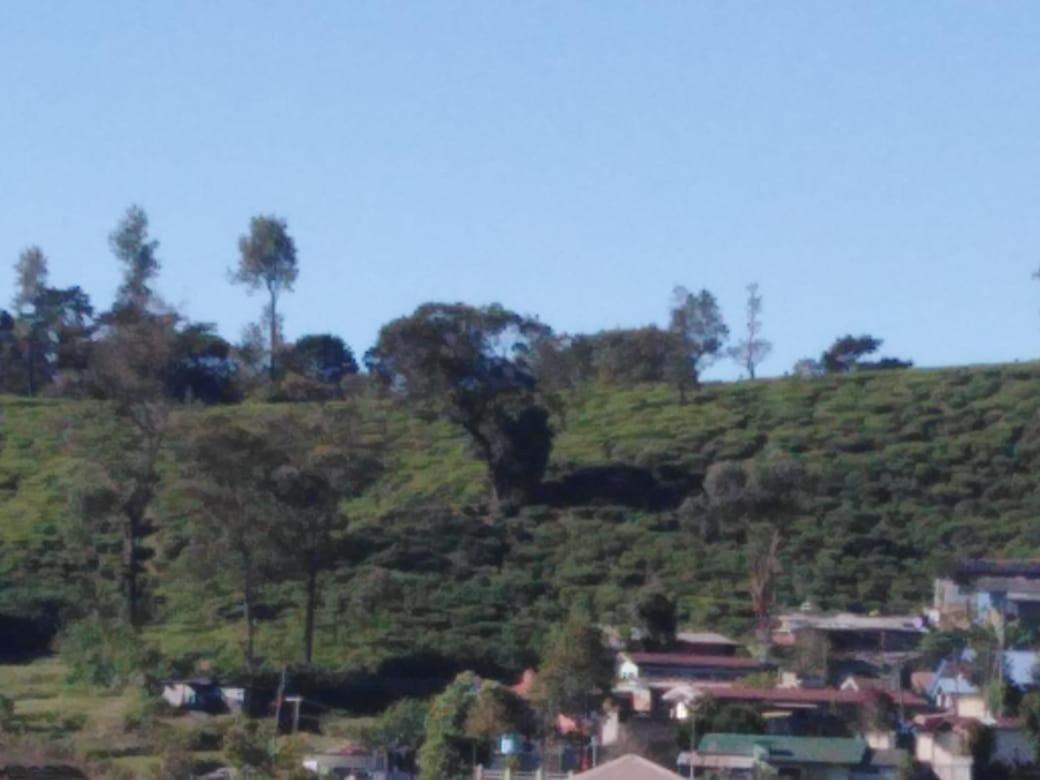 Frosty Heaven Guest House Nuwara Eliya Bagian luar foto